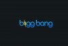 Biigg-Bang-Logo-1-100x67